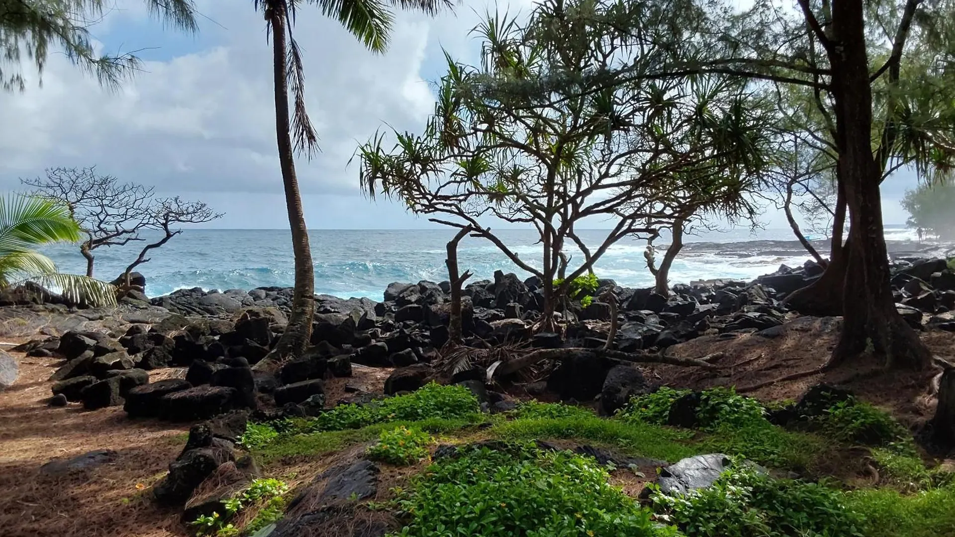 ホームステイ Ainaloa Vacation Home Hawaii With Phev Hybrid Plug-In Vehicle パホア 米国